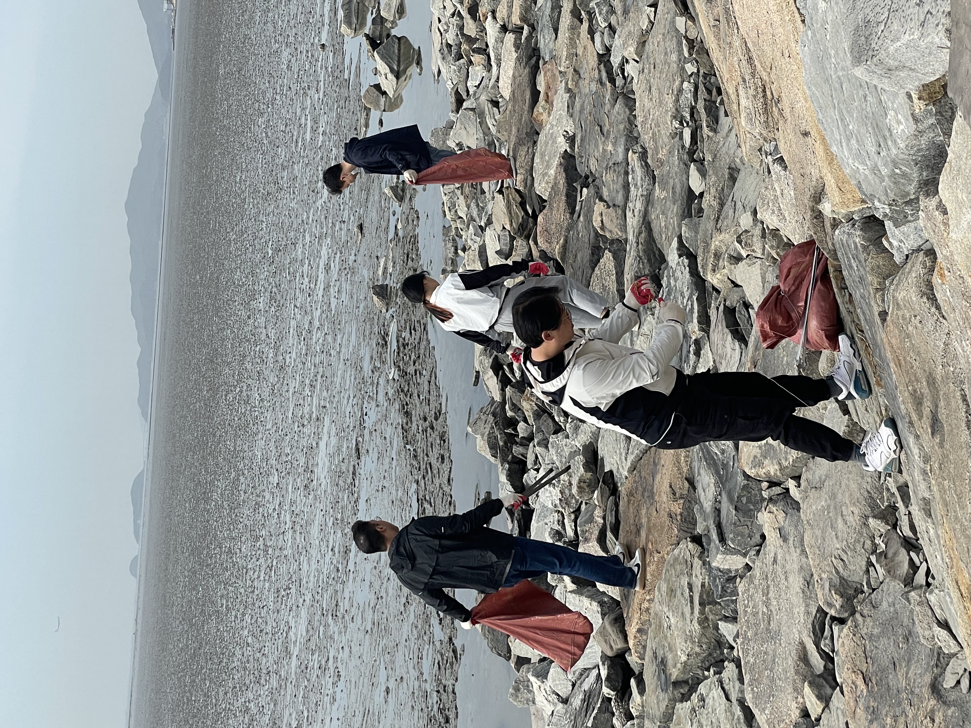 social contributions